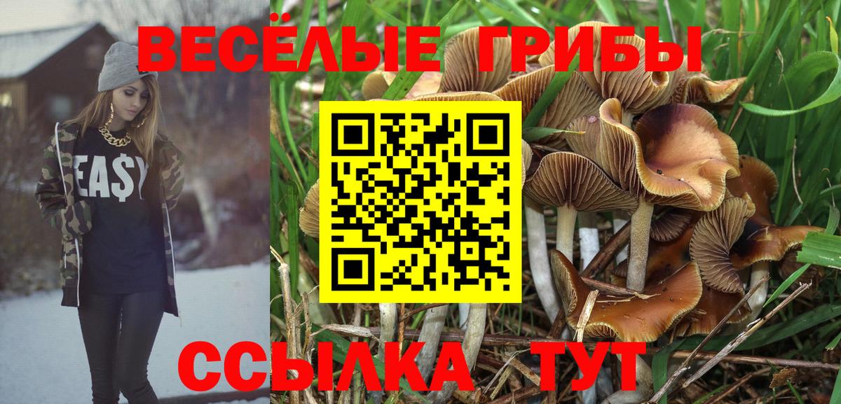 Псилоцибиновые грибы мухоморы  Псилоцибиновые грибы Psilocybine cubensis  Вход с VPN  Магадан 