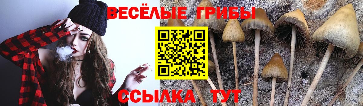 Псилоцибиновые грибы GOLDEN TEACHER Магадан